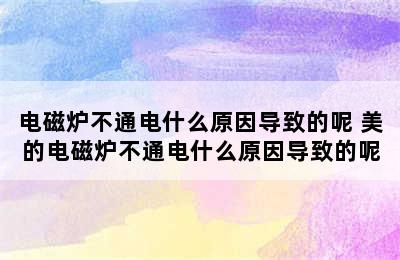 电磁炉不通电什么原因导致的呢 美的电磁炉不通电什么原因导致的呢